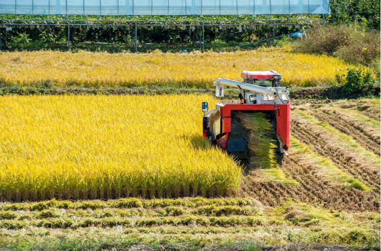 江西省關(guān)于2025年第三期農(nóng)機(jī)購置補貼產(chǎn)品形式審核情況的公示