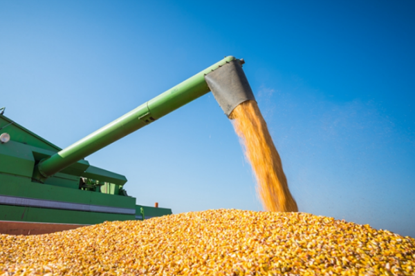 平陸縣成功舉辦玉米全程機械化新機具推廣演示會