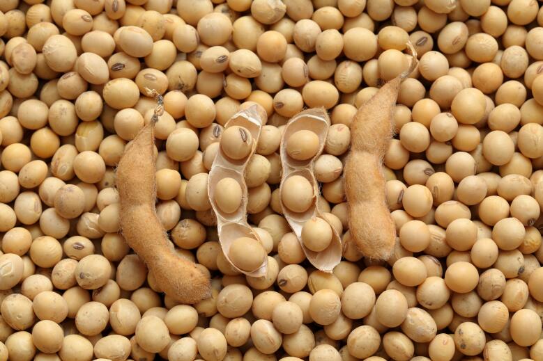 南京農(nóng)機(jī)化所多項(xiàng)成果入選全國(guó)百千項(xiàng)農(nóng)業(yè)科技成果