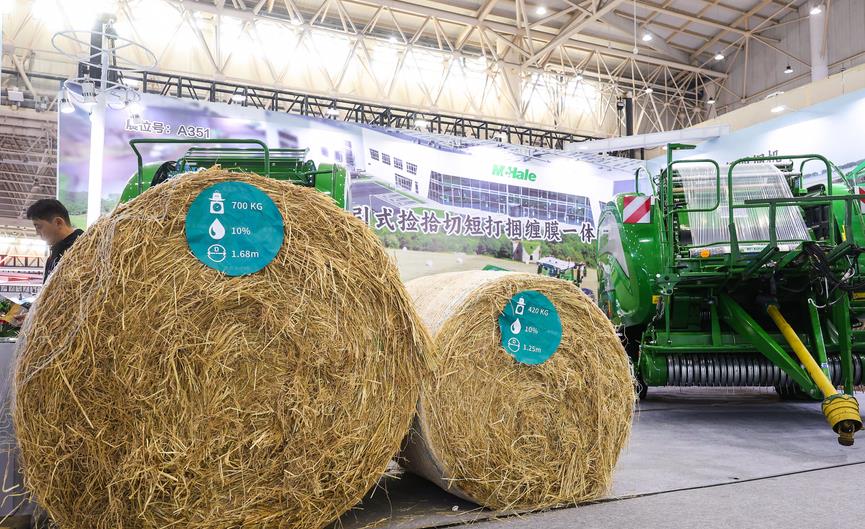 甘肅省“優機優補”相關檔次投檔審核的工作提示