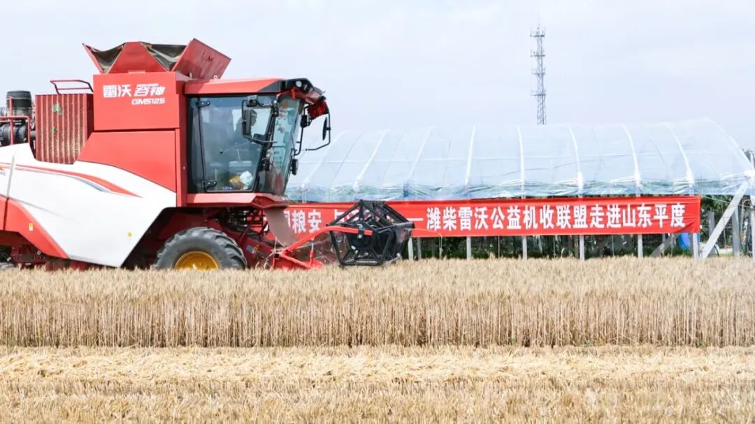大國糧安 與沃同行丨雷沃公益機收情暖膠東