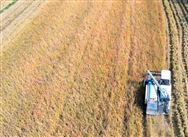 酒泉市“三秋”農(nóng)機生產(chǎn)作業(yè)安全高效有序進行