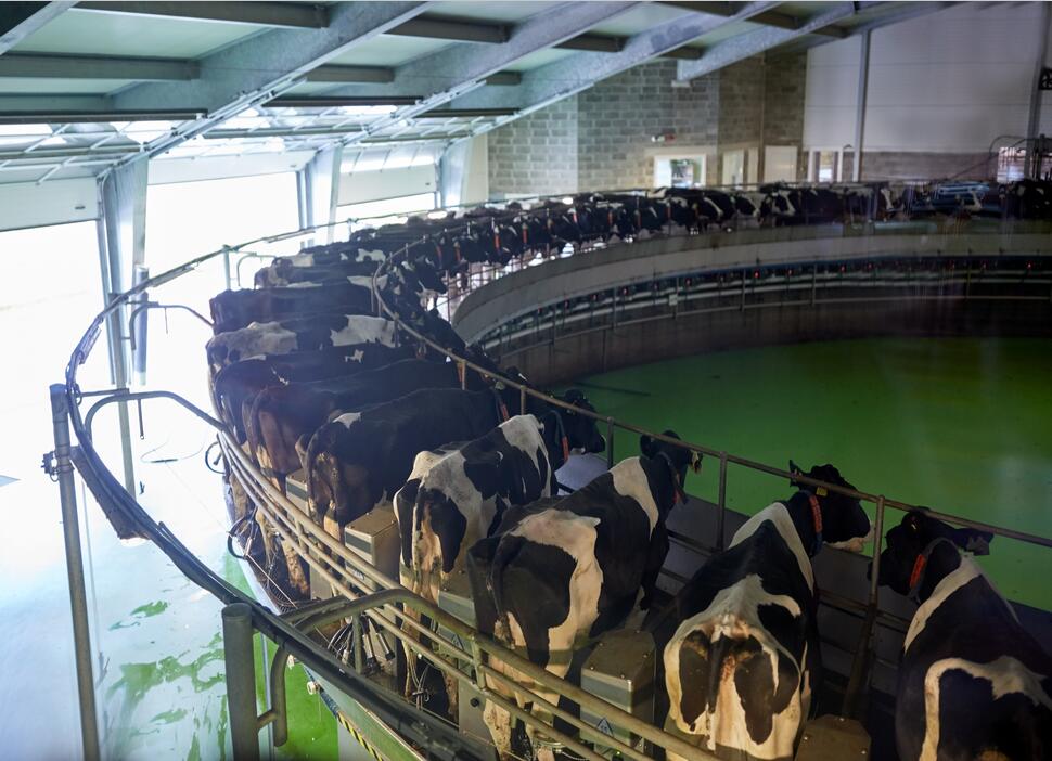 政策解读│四川省强农惠农政策明白纸之奶业生产能力提升整县推进