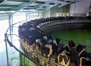 政策解讀│四川省強農惠農政策明白紙之奶業生產能力提升整縣推進